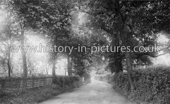 Station Hill, Theydon Bois, Essex. c.1910